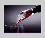 Selection Decanting Pourer