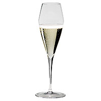 Vitis Champagne Glass, Set of 2