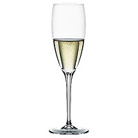 vino vino Champagne Glass, Set of 4