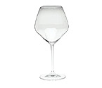 Riedel Vinum Extreme Pinot Noir / Red Wine Glass