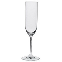 Wine Collection - Champagne Glass (Set of 2)