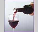 Stainless Steel Dripless Pourer