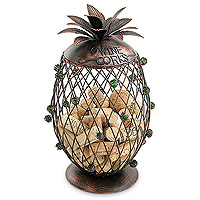 Pineapple Cork Cage