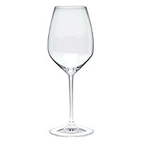 Riedel Vinum Extreme Riesling / Sauvignon Blanc Wine Glass