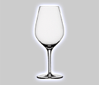 Spiegelau Authentis White Wine Glass (Set of 6)