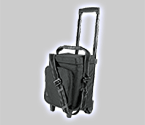 Rolling Weekend Wine Bag for 6 Bottles