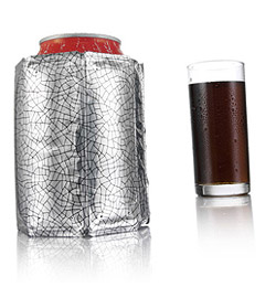 Photo of Rapid Ice Can Cooler