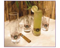View Larger Image of Mojito Glass Set (Set of 4)
