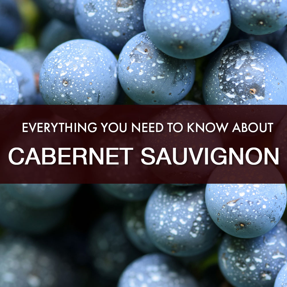 Wine Class - Everything You Need to Know About Cabernet Sauvignon