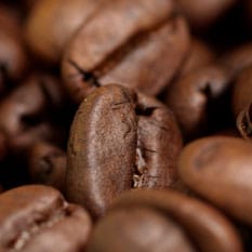 Beginners Guide To Coffee Beans