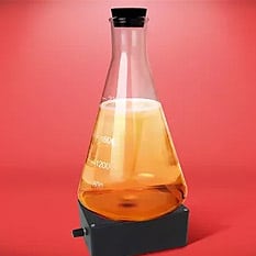 How To Make A Yeast Starter