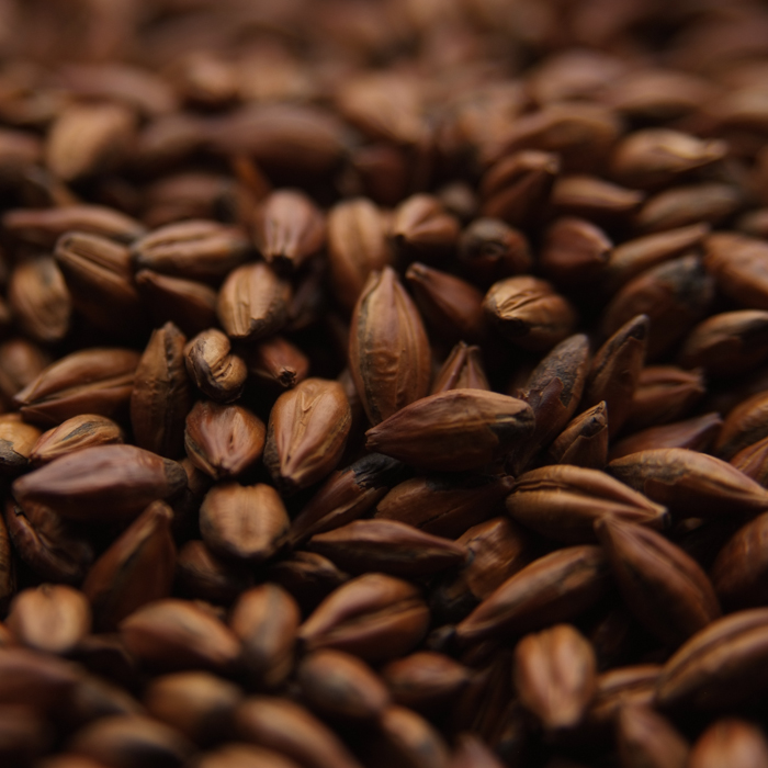 BSG BRI1062 Briess Roasted Barley Malt Grain 50 lb