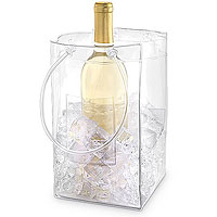 The Chiller Bottle & Ice Carrier