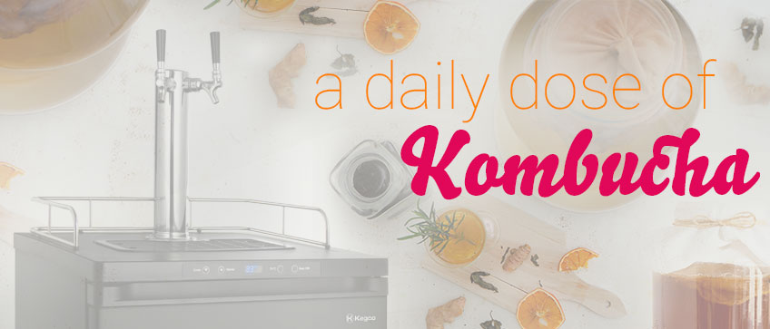 kombuchadaily