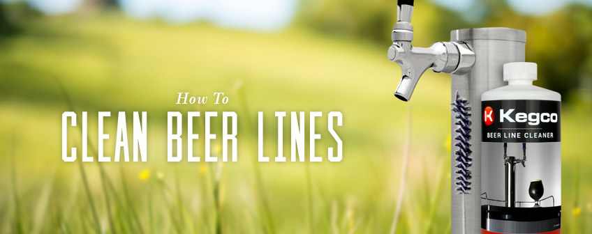 How to Clean Beer Lines
