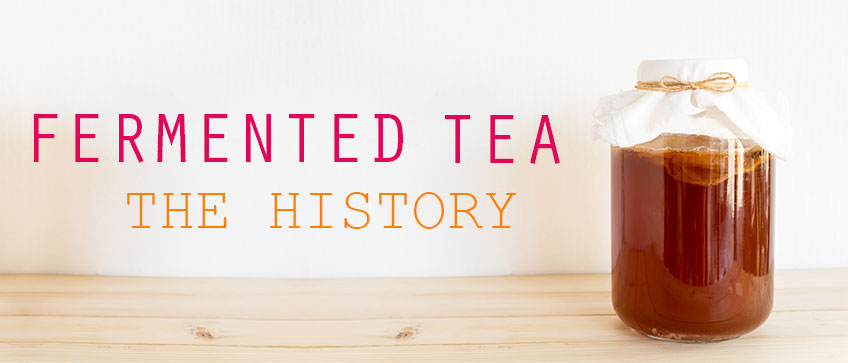 historyofkombucha