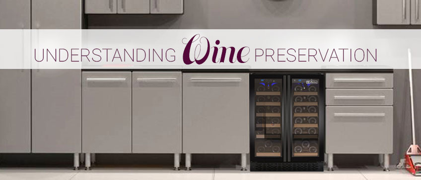 understandingwinepreservation