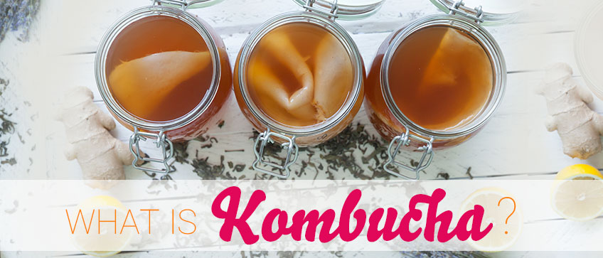 whatiskombucha