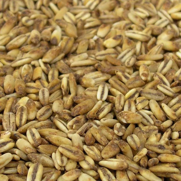 Golden Naked Oats Malt - Whole Brewing Grains - 1 lb 